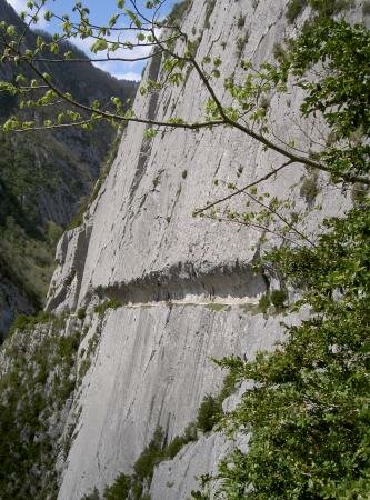 image1265295888.jpg
