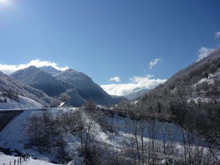 image1265406759.jpg